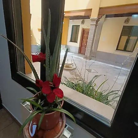 Apartment Corrala De San Anton. Arrayanes Granada