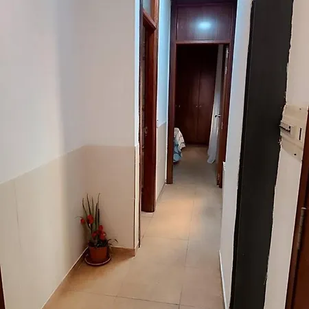 Corrala De San Anton. Arrayanes *