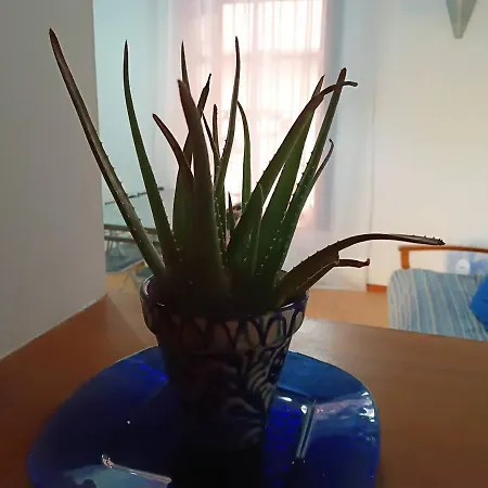 Corrala De San Anton. Arrayanes Lejlighed *